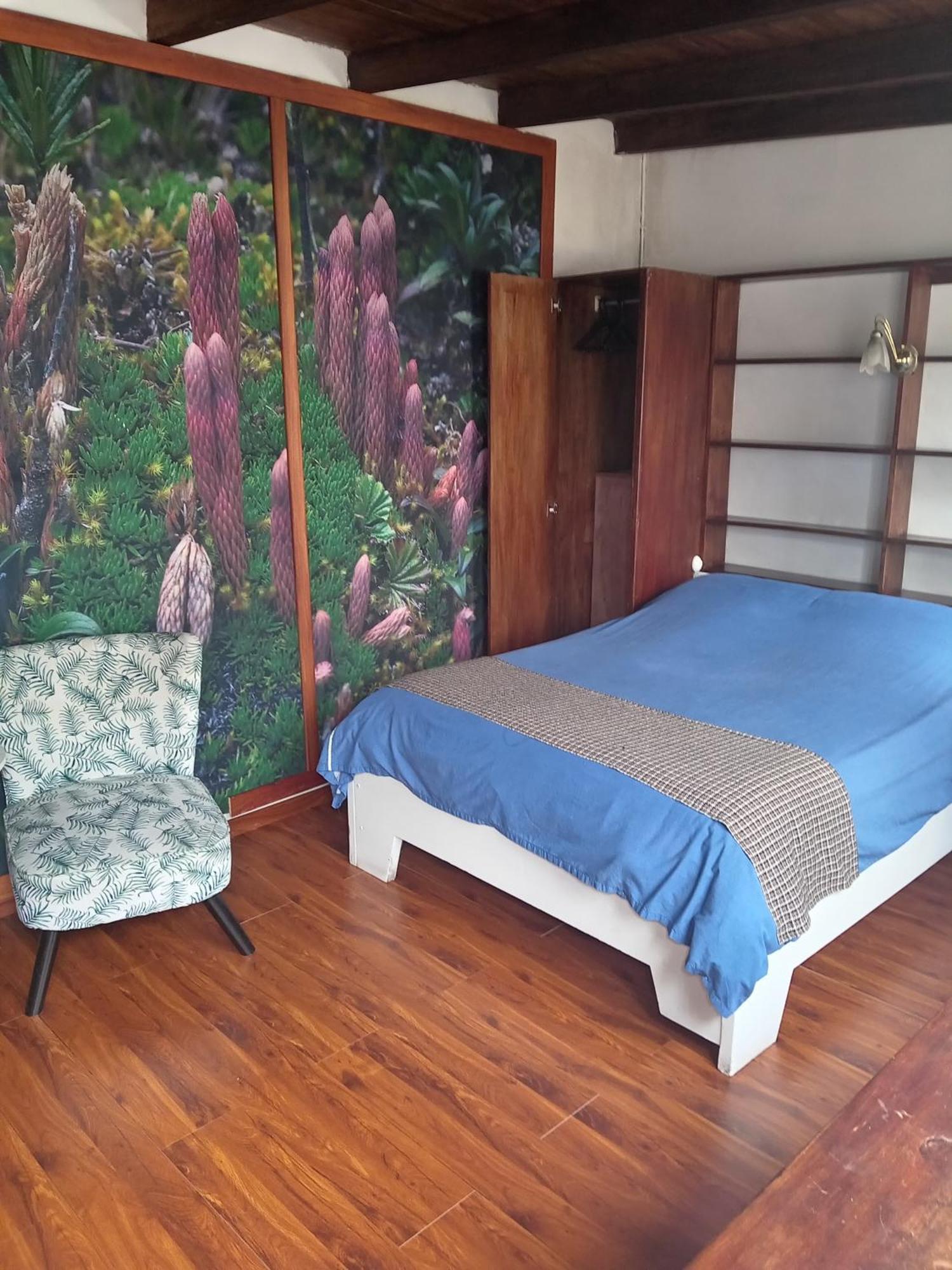 קיטו Hostal Posada Del Maple מראה חיצוני תמונה