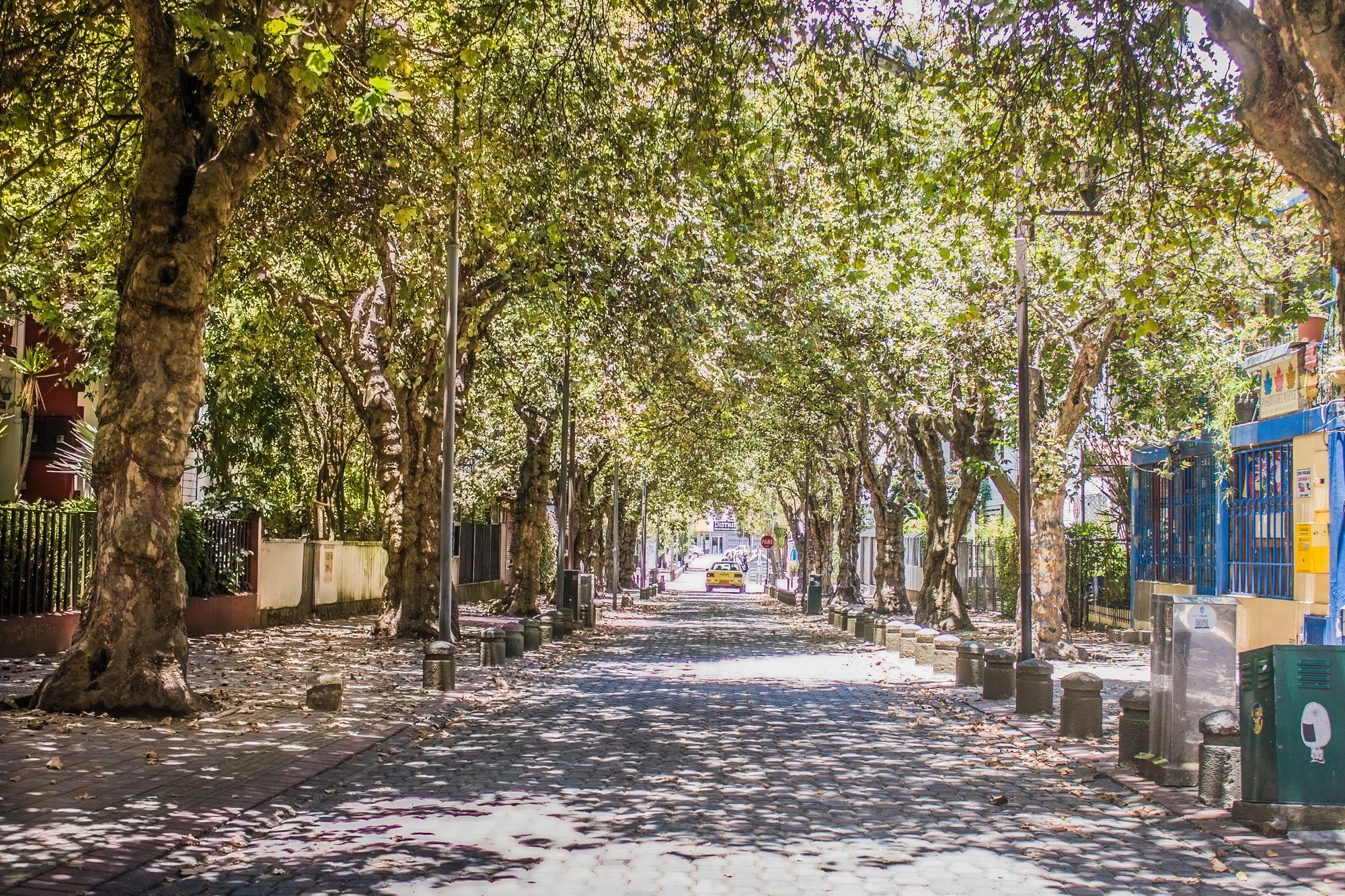 קיטו Hostal Posada Del Maple מראה חיצוני תמונה
