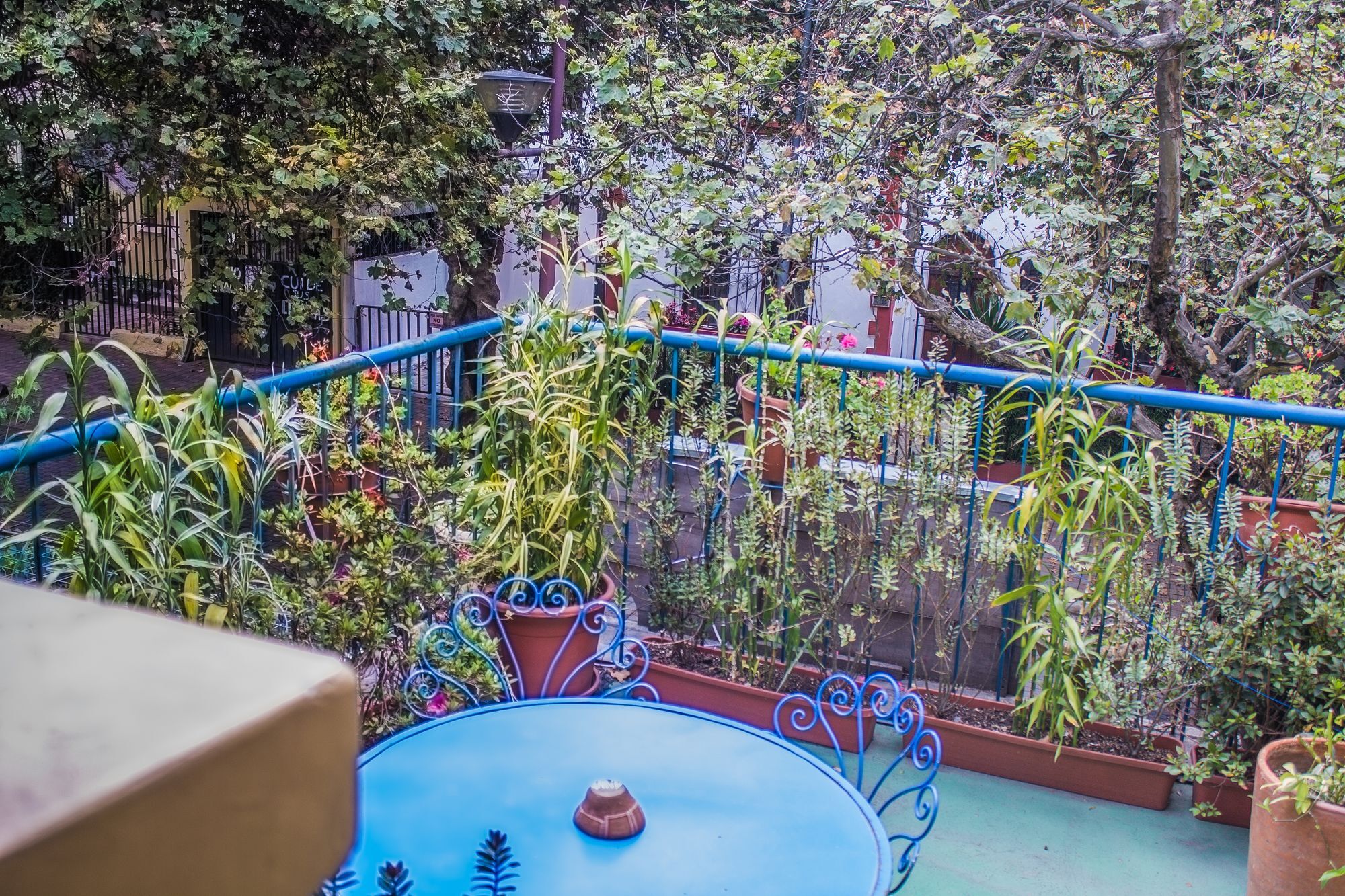 קיטו Hostal Posada Del Maple מראה חיצוני תמונה