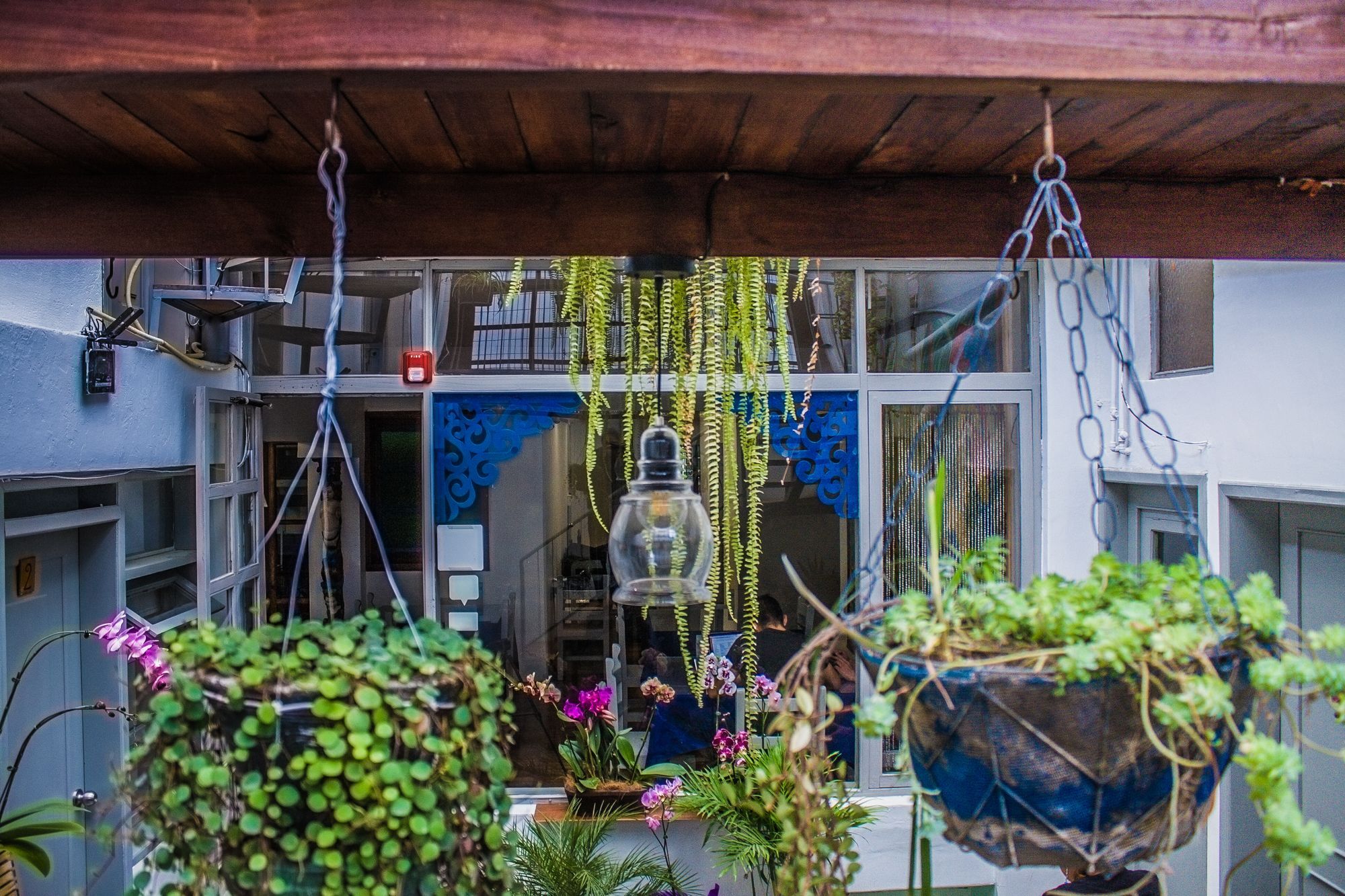 קיטו Hostal Posada Del Maple מראה חיצוני תמונה